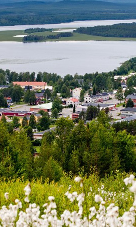 Utsikt från Tjamstanberget över Malå samhälle och Malån. 