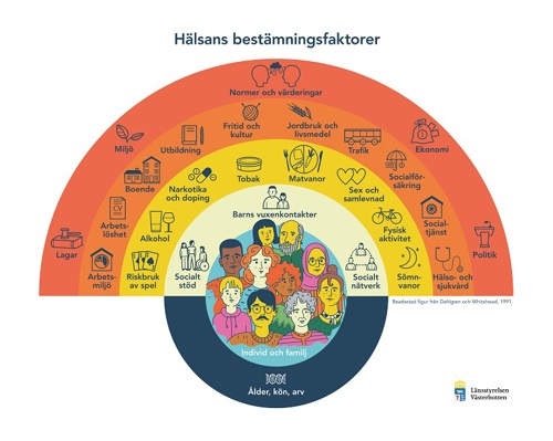 Hälsans Bestämningsfaktorer illustrerad av Länsstyrelsen Västerbotten