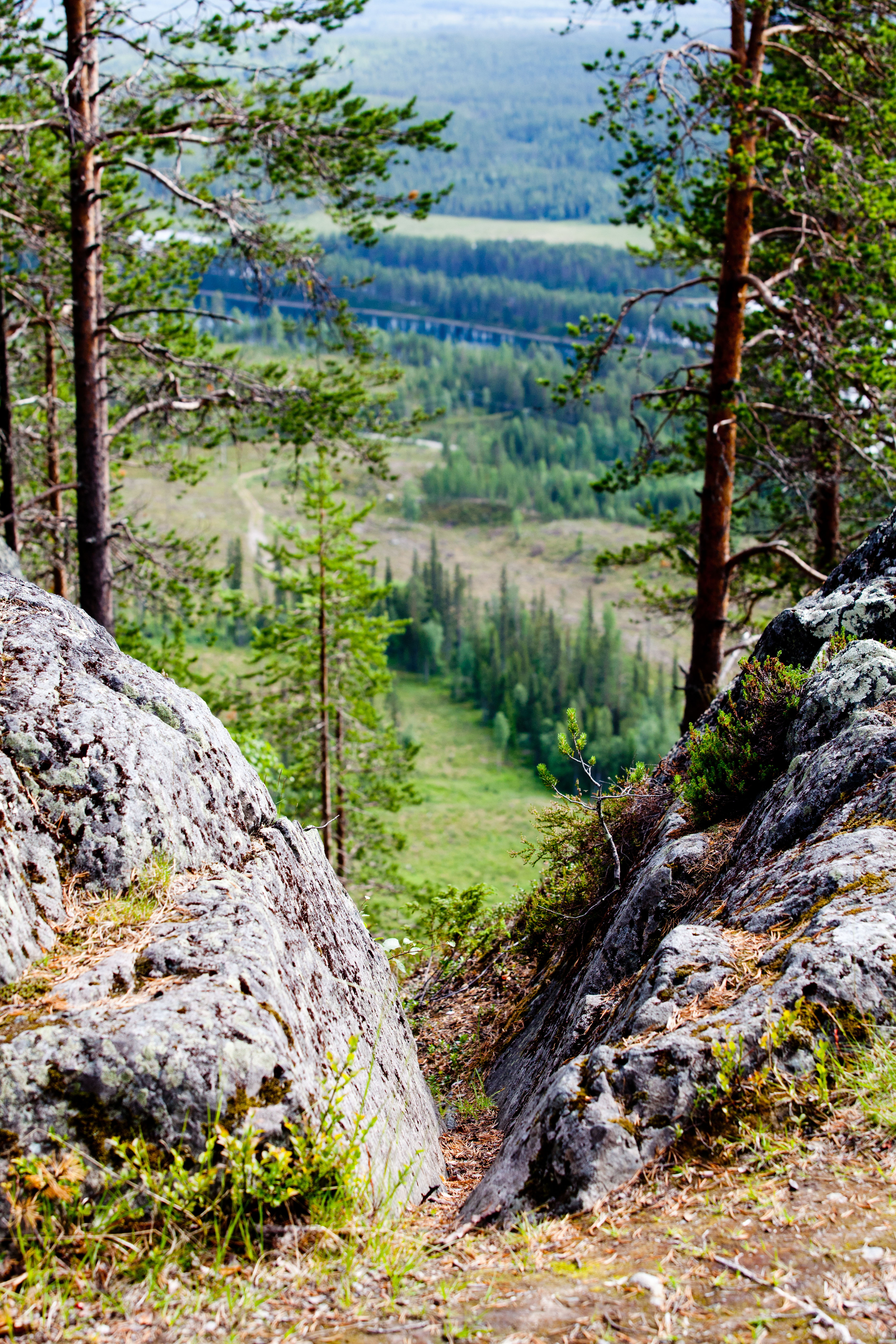 ättestupan, natur, sommar