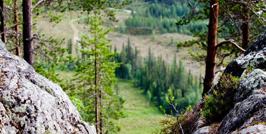 ättestupan, natur, sommar