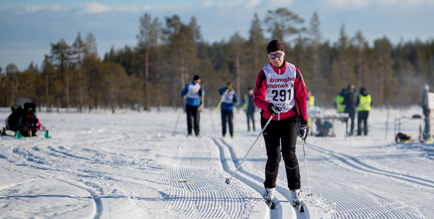 Tävlande i skidlopp. Solen strålar och snön gnistrar vit. 